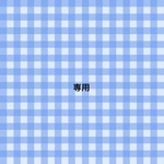 オプション追加分