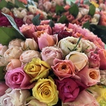 短め❗️バラ 《切り花 生花 》おまかせMIX　20㎝　40本　産地直送！鮮度抜群‼️ ブーケ調