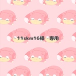 11skm16様 専用