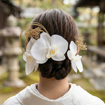 送料無料 白 ホワイト胡蝶蘭の髪飾り 結婚式 成人式 水引  ウェディング ゴールド コチョウラン 卒業式 浴衣