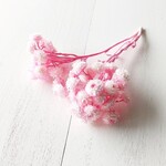 イモーテル 軸付き 淡桃