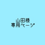 追加料金