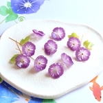 オリジナル作品★朝顔　夕顔　お花の樹脂パーツ　パープル