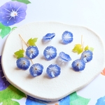 オリジナル作品★朝顔　夕顔　お花の樹脂パーツ　ブルー