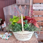 現品のみ！宿根草【ヒューケラ３色寄せ植え】毎年楽しめるカッコイイおしゃれな植物♡手付きホワイト系ブリキ鉢ガーデニング