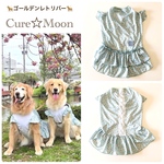 大型犬　濡らしてひんやり　Cure☆Moon