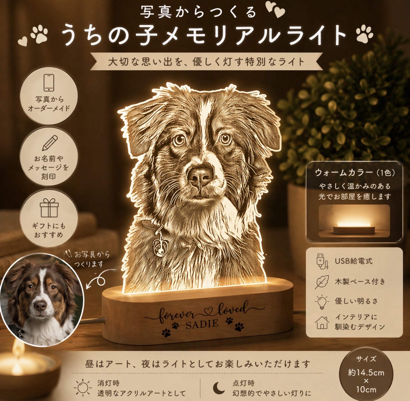 オーダーメイド ペット 犬 猫 お名前入り キーホルダー - movidog'S