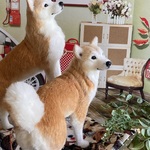 柴わんこ様専用ページ