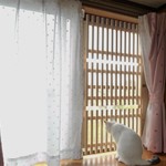 【オーダー専用ページ ayuxjulia様】
