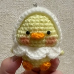 🐥白いポンチョのヒヨコちゃん🐥