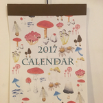 2017年きのこなカレンダー