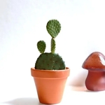 ★現品のみ★　かわいいオブジェ　”オプンチア・べにうちわ　イタリアンテラコッタ鉢”　観葉植物　多肉植物　紅団扇　おしゃれ　さぼてん　インテリア　ギフト　プレゼント