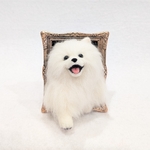 【母の日直前割30%off】羊毛フェルトの犬  フレームから飛び出すポメラニアン