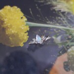 蓮のリングⅡ（オパール）〈再販〉