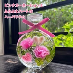 ピンクカーネーションと ふわふわハートの ハーバリウム　ネコ瓶Mサイズ