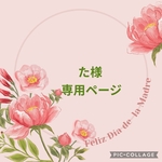 た 様  専用ページ