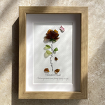 Chocolate Rose  シーグラスアート