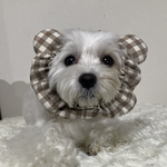 犬のスヌード　くまみみ🐻4色♡