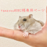 tamayou0802様専用ページ