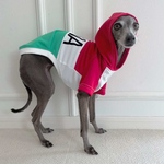 名入れオーダー犬服 遮熱&UVカット 配色パーカー