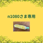 n1080さま専用とうもろこしキット