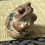 ヒキガエル腕組み