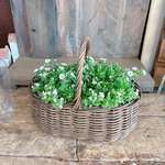現品ラスト！待望入荷！毎年楽しめる小花【カーペットカスミソウ】かご寄せ植え！ナチュラルガーデニング♡かすみ草！宿根草