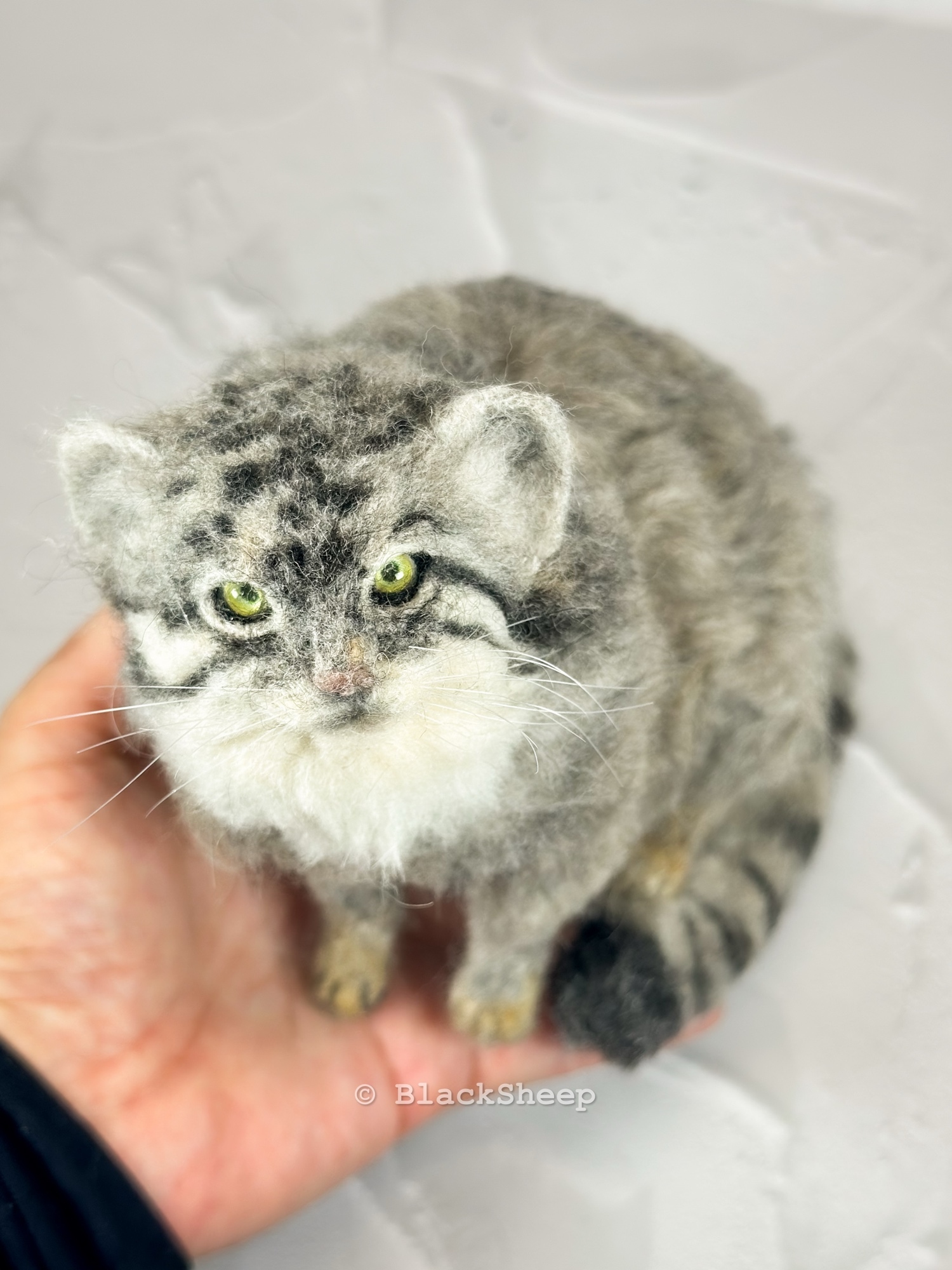 羊毛フェルト アライグマ - Black Sheep Needle Felting Animals