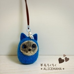 だるま猫ちゃん☆ブルー