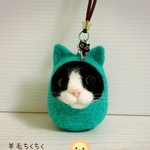 だるま猫ちゃん☆ミントグリーン