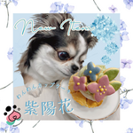 【専用ページ】3回購入割♡tanucan1187様