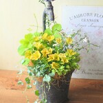 ❀ペチュニアRistorante Toti『レモンスター』　蛇口付きポットのおしゃれなお花の寄せ植え　母の日にも