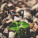しらこ様 専用ページ♡