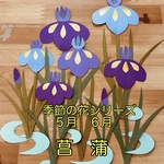 壁面飾り＊季節の花シリーズ5月6月【菖蒲】5月　6月　季節の花　花しょうぶ　あやめ