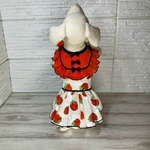 夏犬服メッシュ🍓いちご柄ワンピース