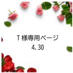 こちらはT様専用ページになります◇顔温め小豆カイロ