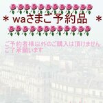saly☆waさまご予約品*☆*―――――