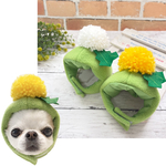 🏵️たんぽぽの被り物🏵️