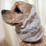 犬用スヌード　ストライプ刺繍　ホワイト蝶リボン青