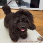 予約済み専用窓口　たんぽぽの綿毛⚪️🌱オーダーメイド　羊毛フェルト　犬　オーダー　