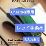 専用ページ　アイコスイルマiケース