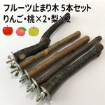 フルーツ止まり木 りんご×3、栗、桃　5本セット。