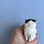は〜、さてはササミだな？