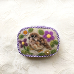 チョウゲンボウのピルケース
