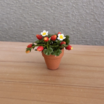 苺のちびっこ鉢　2