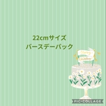 22センチサイズ バースデーパック Ｎｏ．1