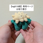 mg0118様　専用ページ　お取り置き