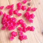 アクリルビーズ　カンパニュラ　12ｇ　約50個　★ラズベリー★