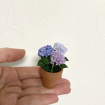 【ミニチュア】鉢植え紫陽花