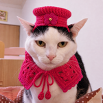 犬猫用 還暦・長寿のお祝いセット㊗️